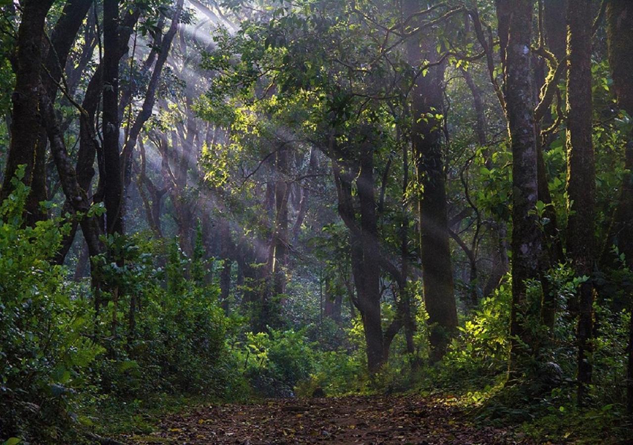 Готель The Tamara Coorg Kakkabe Екстер'єр фото